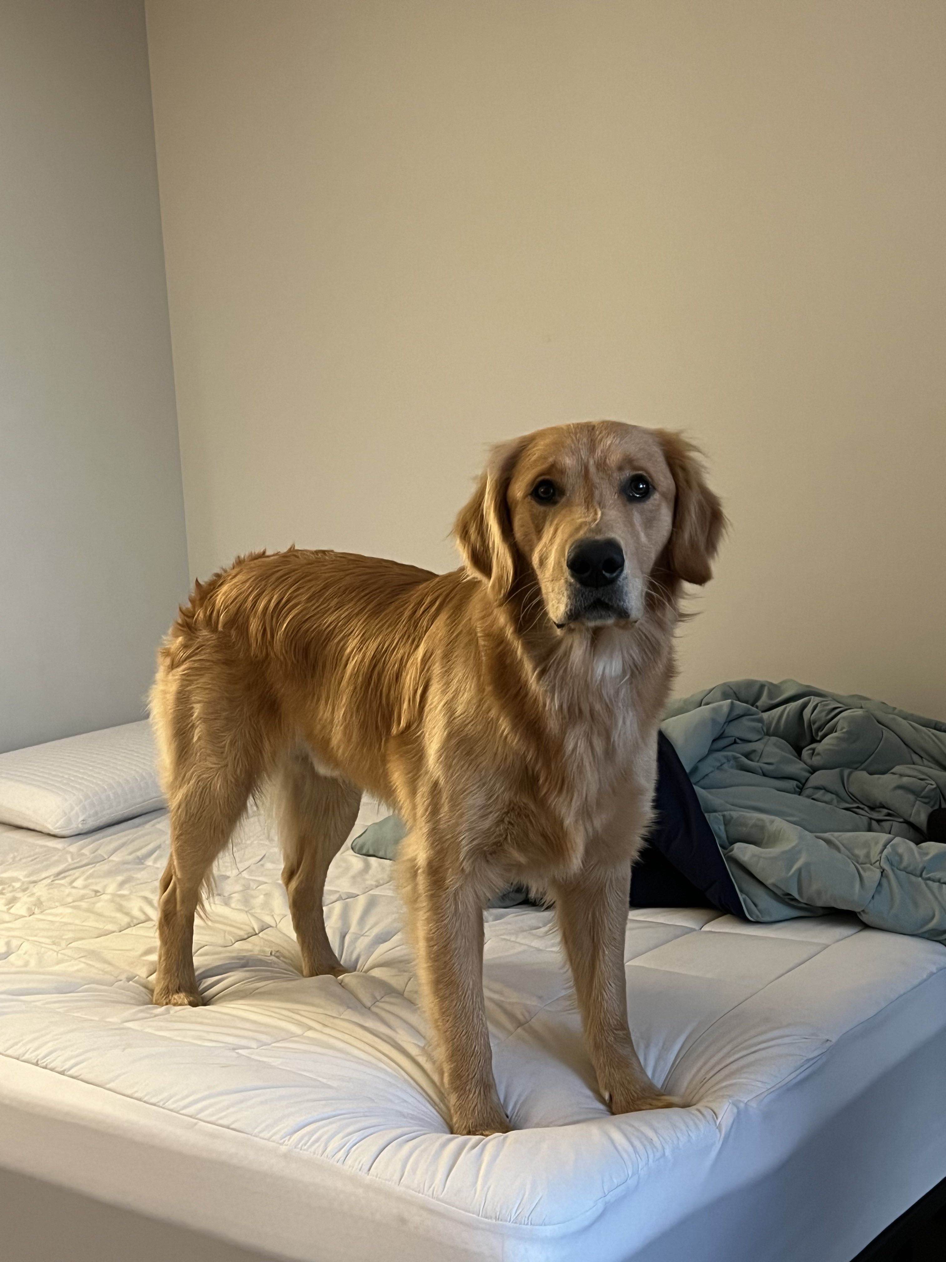 Murphy's Adventure Photo