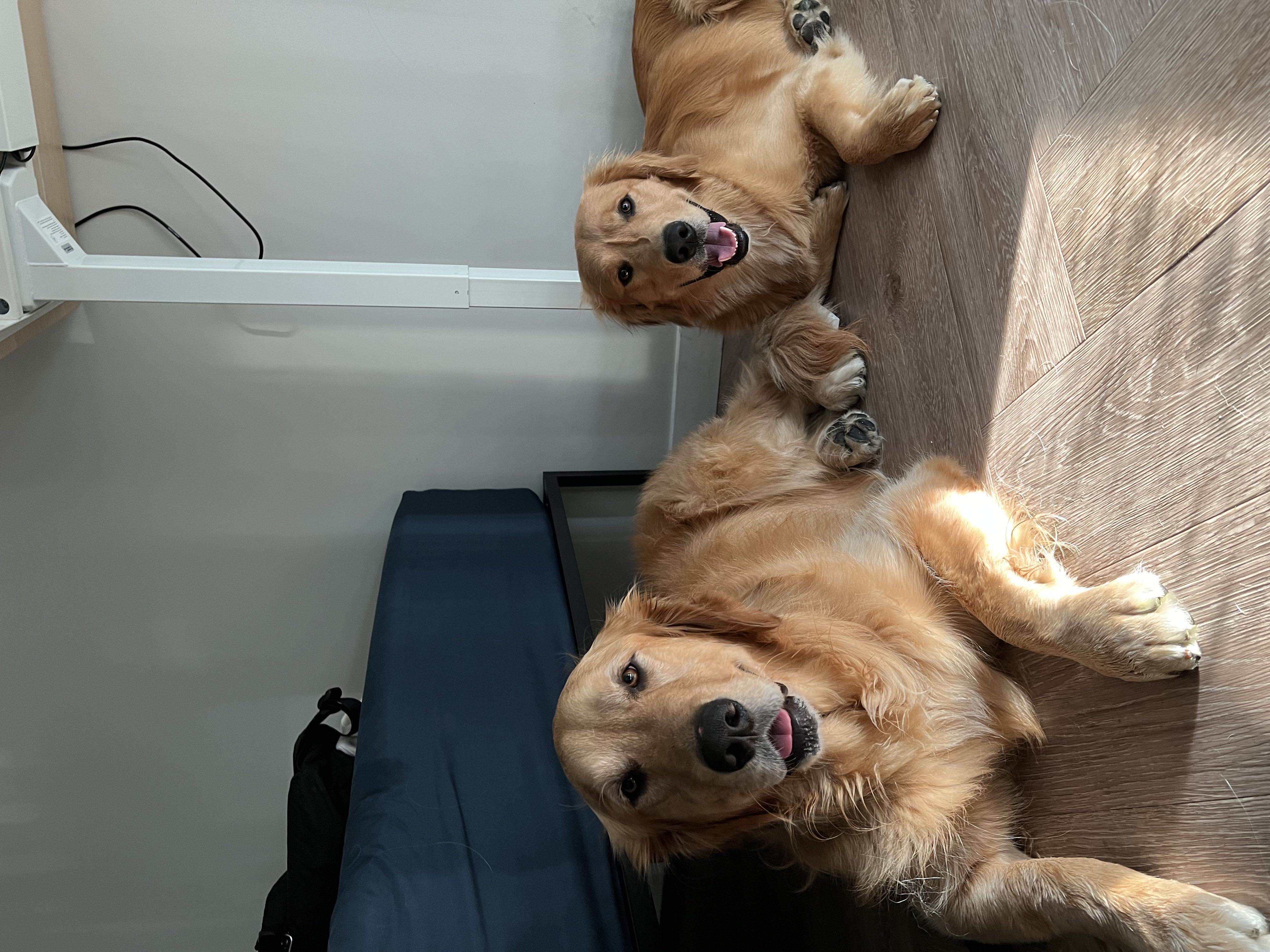 Murphy's Adventure Photo